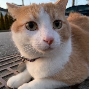 Meet your Posher, Olivia